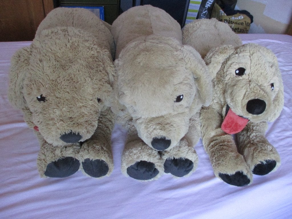 pluche honden, Gebruikt, Overige merken, Overige karakters, Middelgroot (20 tot 80 cm)