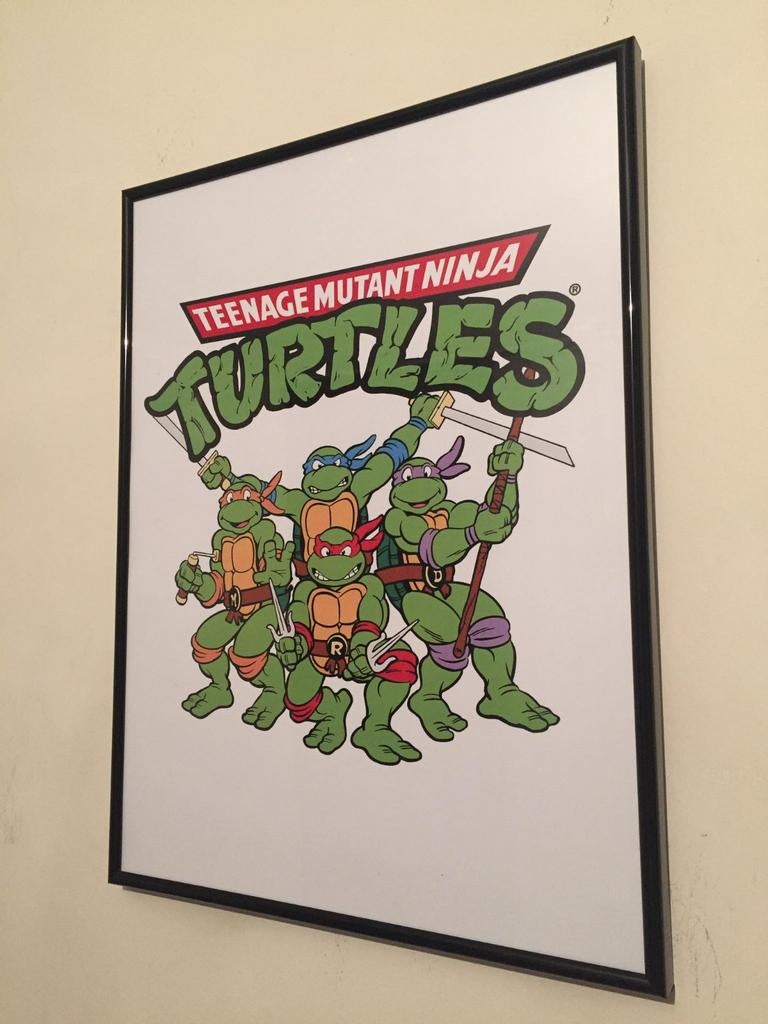 Tortues ninja mutantes adolescentes, Enlèvement ou Envoi