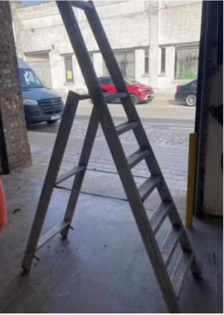 trapladder  Solide professionele trapladder 7 treden, Bricolage & Construction, Échelles & Escaliers, Enlèvement