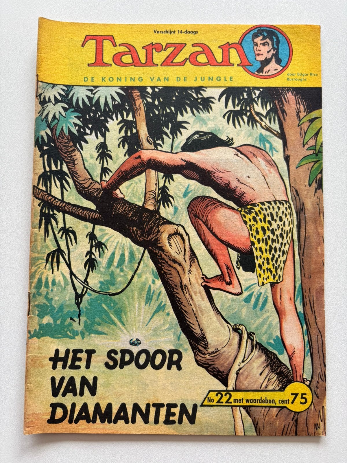 Tarzan strip nr 22 Het spoor van diamanten., Eén comic, Ophalen, Gelezen