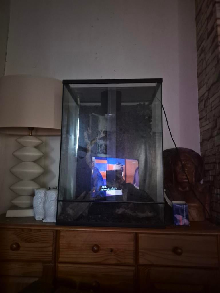 Terrarium: Het betreft een glazen verblijf,, Dieren en Toebehoren, Ophalen of Verzenden, Zo goed als nieuw, Terrarium of Paludarium