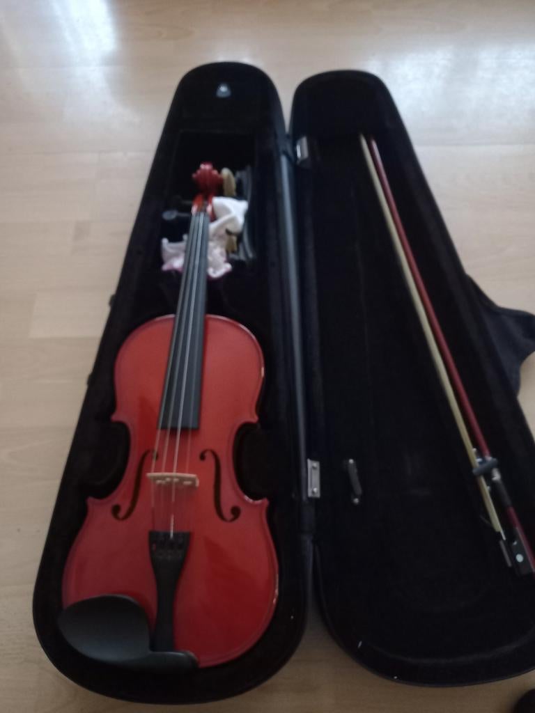 Carmino viool, Muziek en Instrumenten, Viool