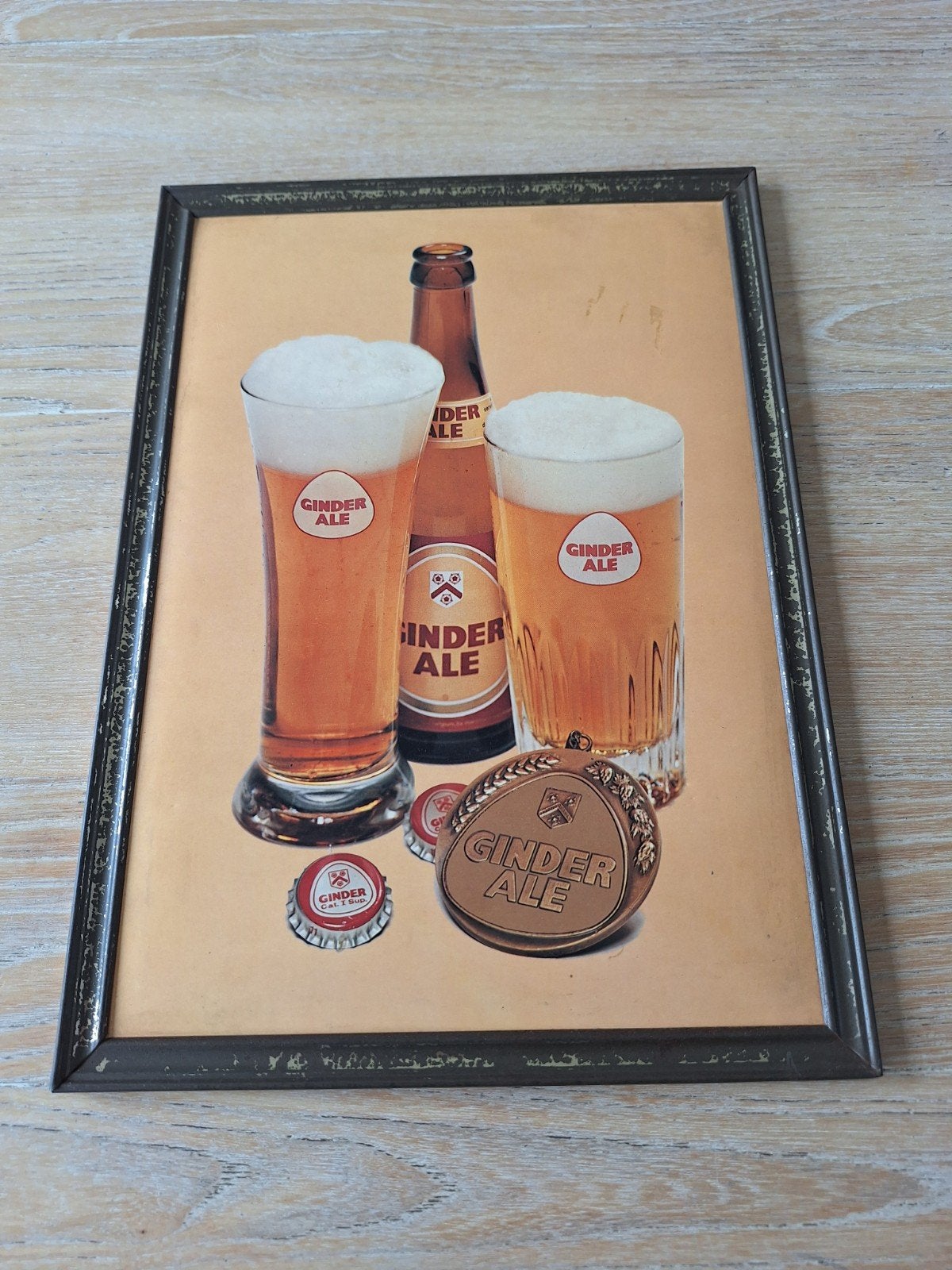 Panneau d'affichage en forme de glacoide ginder Ale, Collections, Enlèvement ou Envoi, Utilisé, Panneau publicitaire