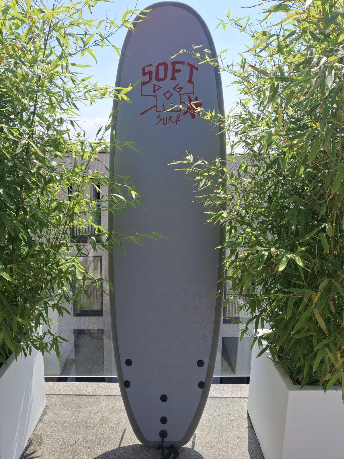 Planche de Surf Softdog 7’2, Sports nautiques & Bateaux, Enlèvement, Comme neuf