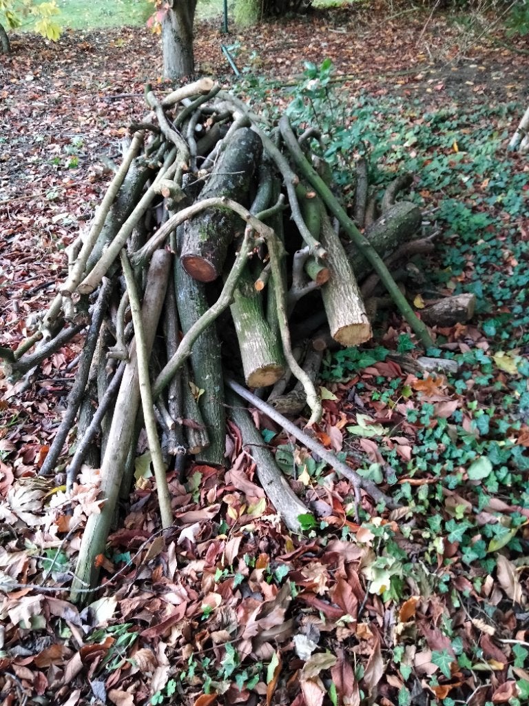 Bois de chauffage, Jardin & Terrasse, Moins de 3 m³, Enlèvement, Autres essences de bois, Branches