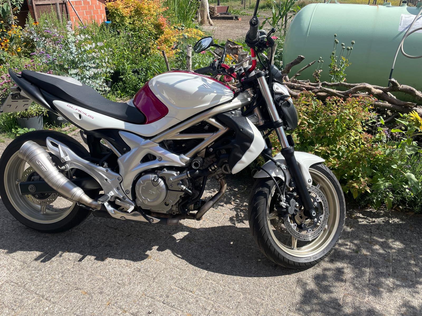 Suzuki Gladius 650 – Zeer nette staat – 28.300 km, Ophalen, Gebruikt