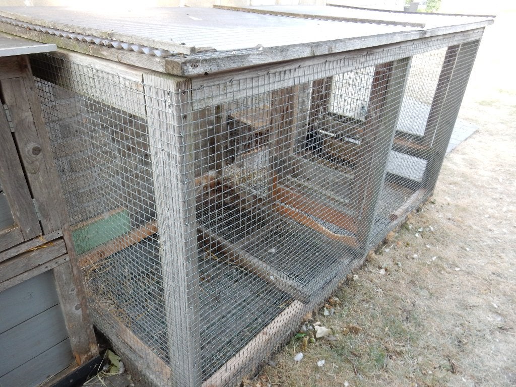 Buitenren, Dieren en Toebehoren, Ophalen