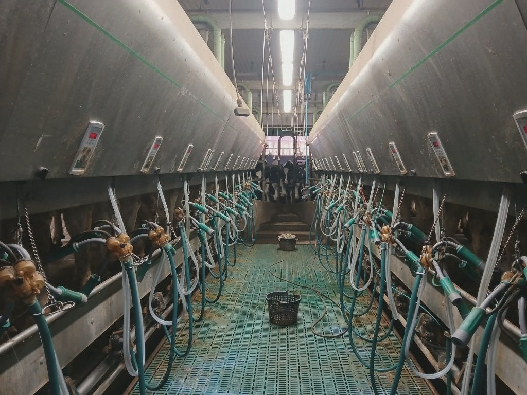 GEA 2X12 rapid-exit, Zakelijke goederen, Landbouw | Werktuigen, Ophalen, Veehouderij, Melktechniek