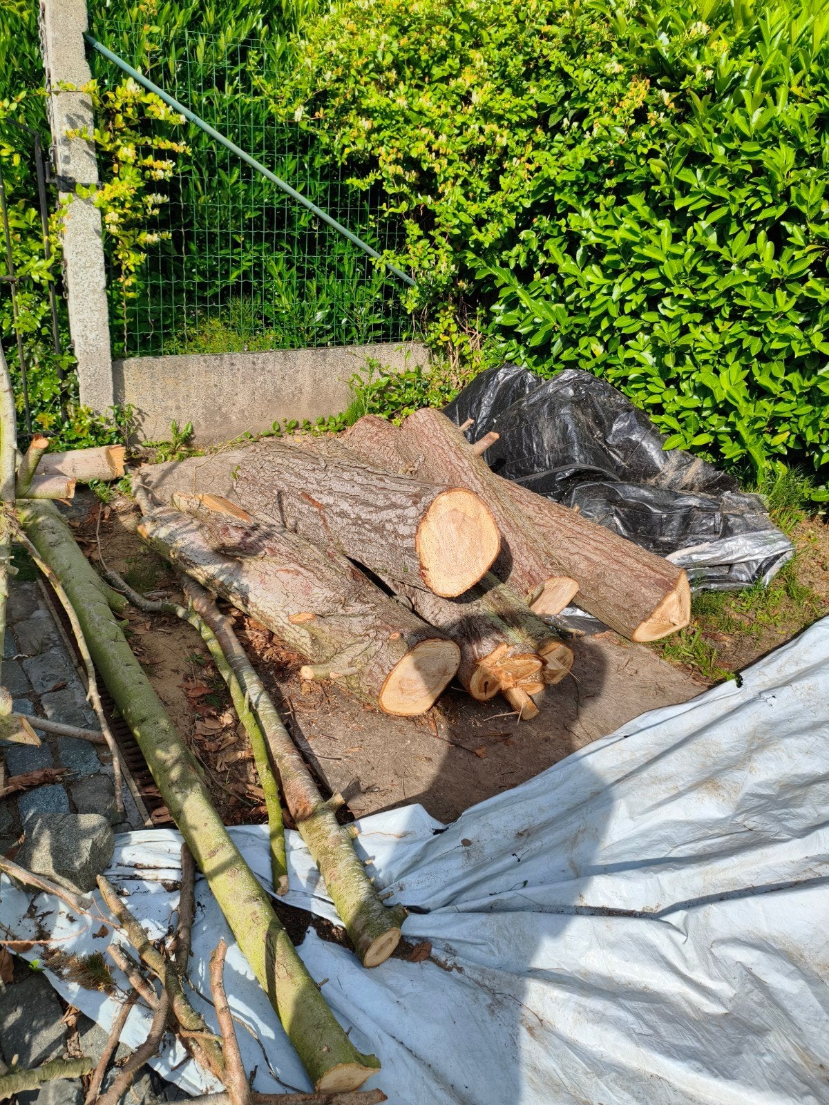 Hout te koop +-3 stères, Ophalen