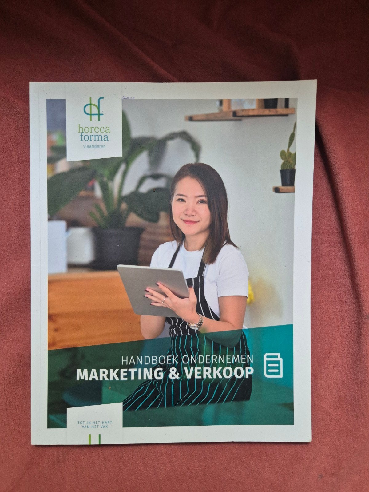 Marketing en verkoop horeca boek, Cd's en Dvd's, Ophalen