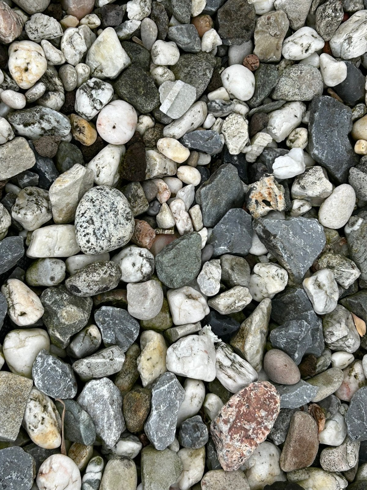 Keien multi, Jardin & Terrasse, Gravier, Rochers & Caillasse, Enlèvement, Utilisé, Multi couleur, Rocher