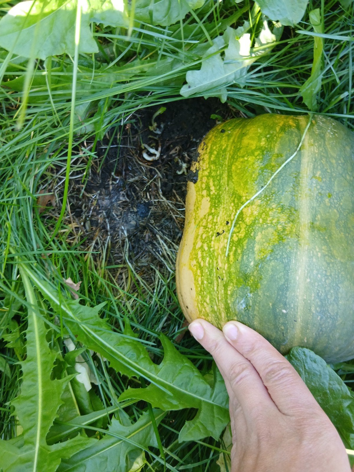 pompen, Tuin en Terras, Ophalen