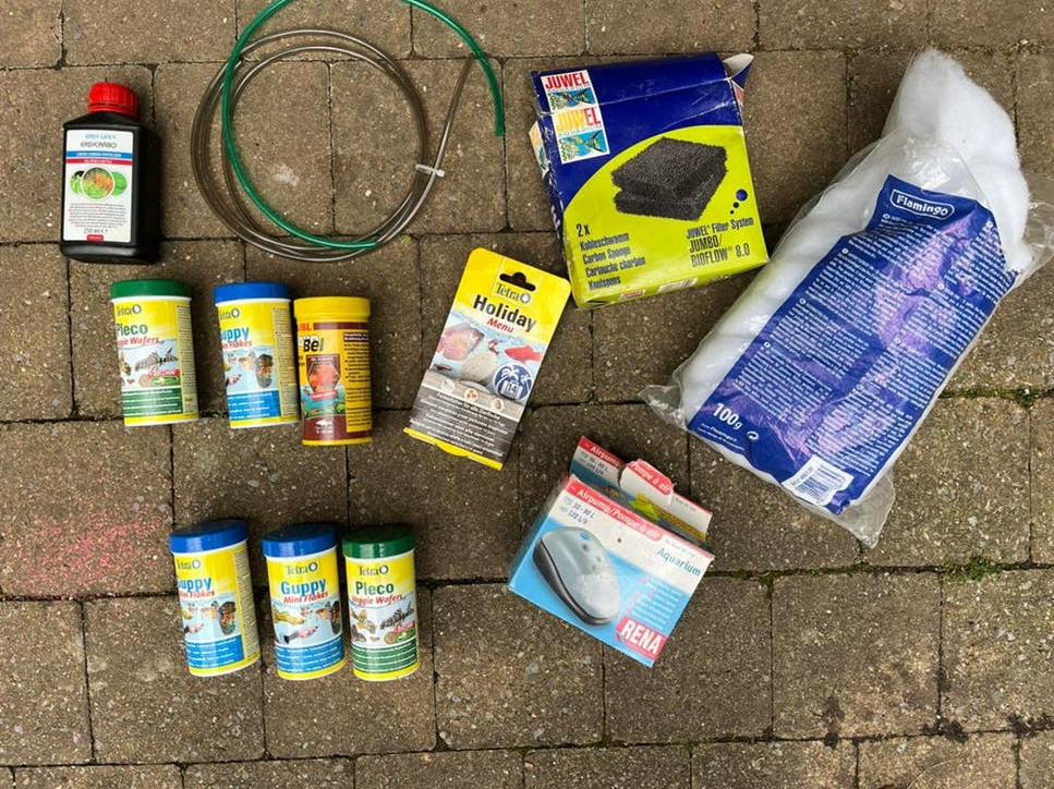 Tetra Guppy et autres, Animaux & Accessoires, Enlèvement ou Envoi, Comme neuf, Tetra
