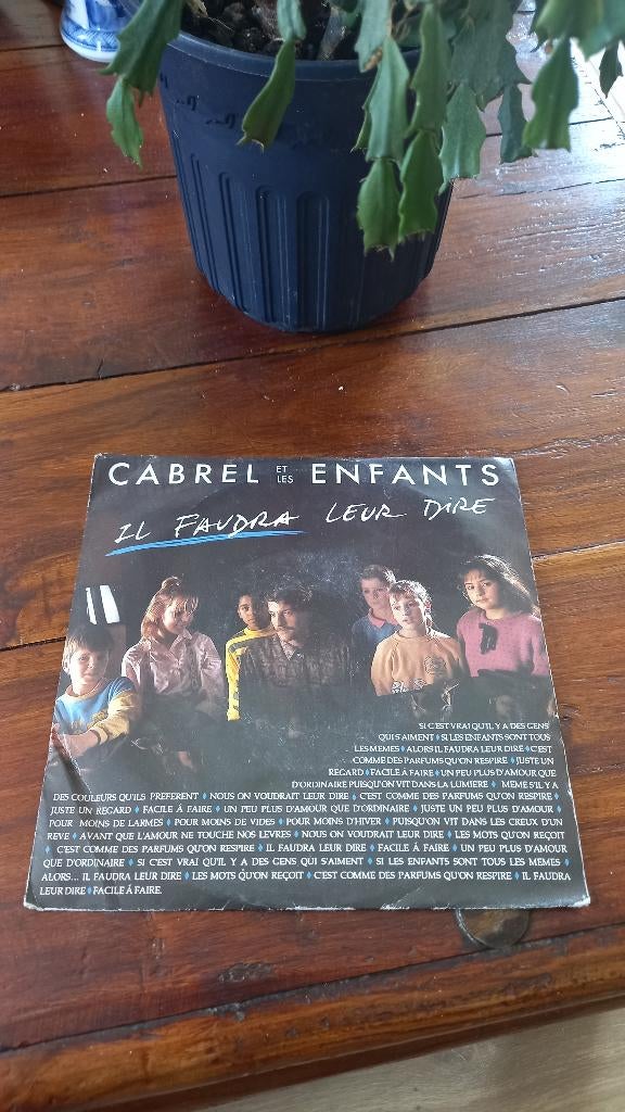 Vinyl (45t) Francis cabrel "il faudra leur dire", Enlèvement, Utilisé