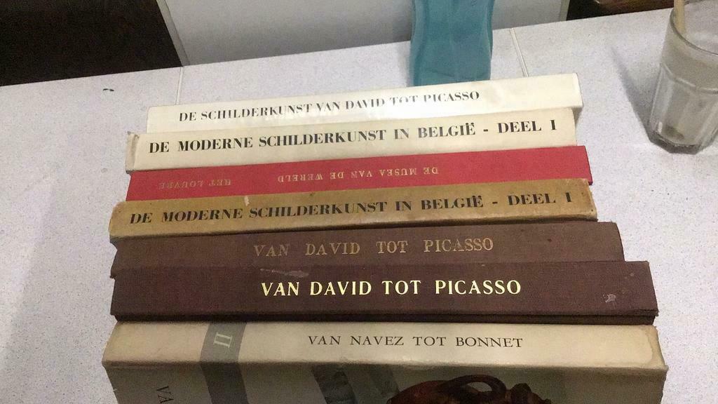 Artis schilderkunst (zk4), Boeken, Prentenboeken en Plaatjesalbums, Ophalen of Verzenden, Gelezen, Artis, Prentenboek