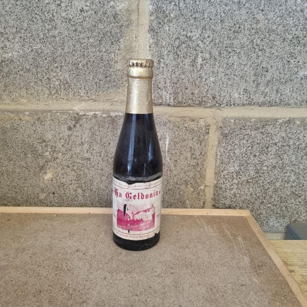 Bouteille de bière La Geldonia (modèle 2), Ophalen of Verzenden, Gebruikt, Flesje(s), Overige merken