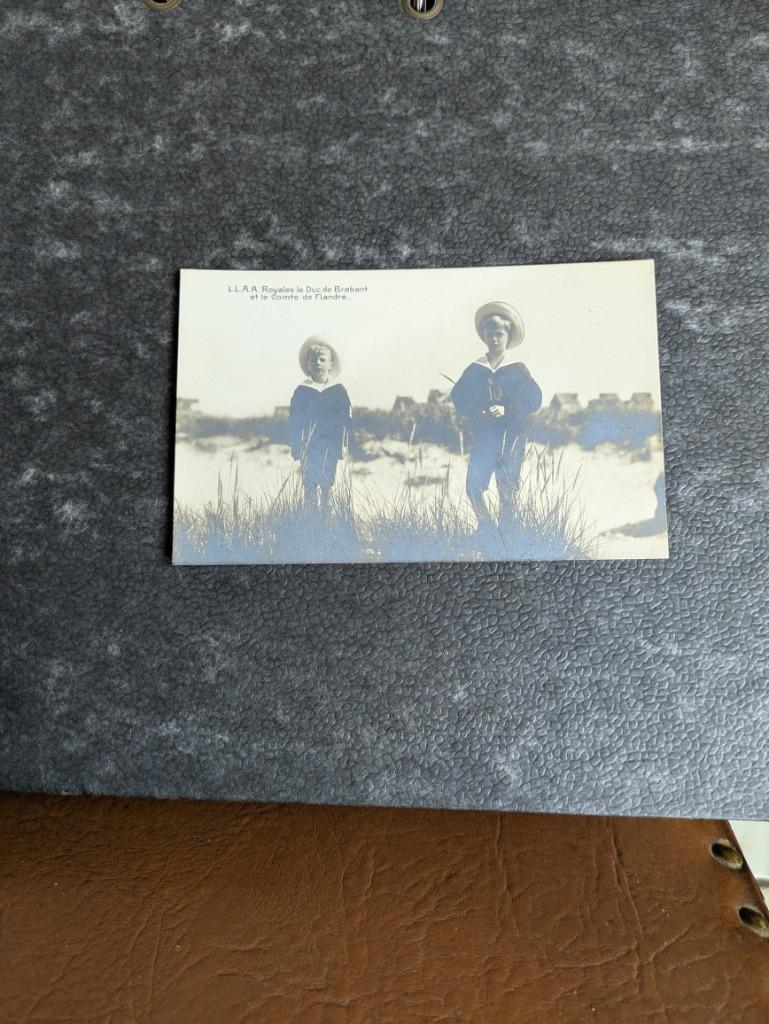 Prins Karel en prins Leopold, Ophalen of Verzenden, Zo goed als nieuw, Kaart, Foto of Prent