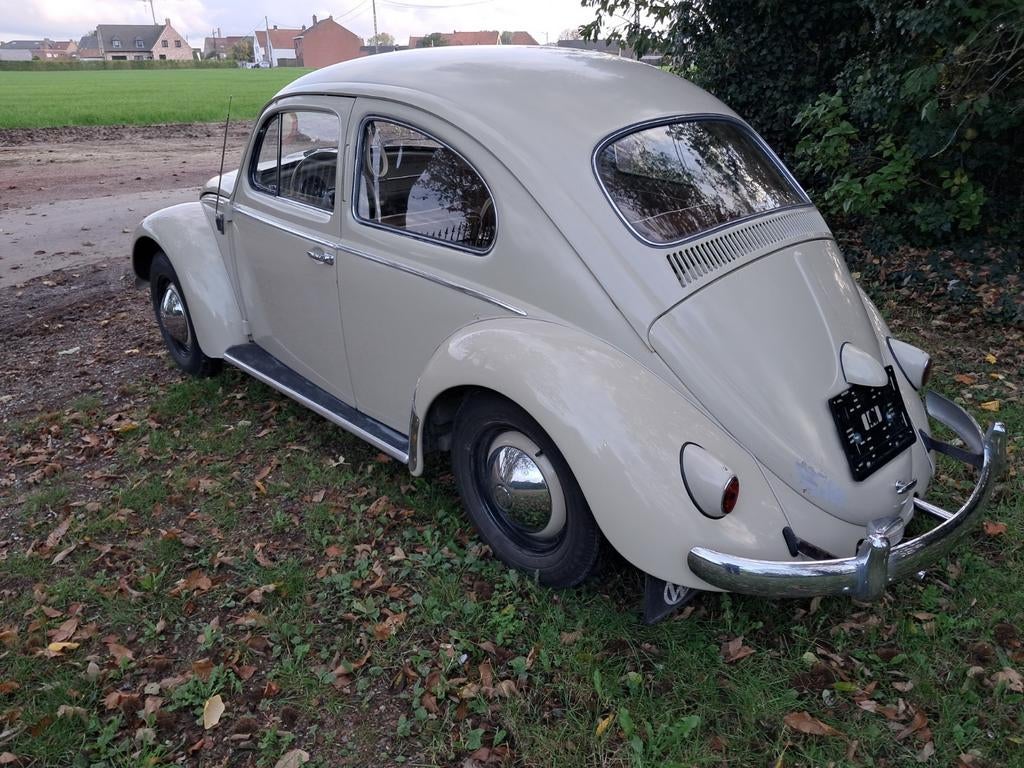 Vw kever '59, foto 3
