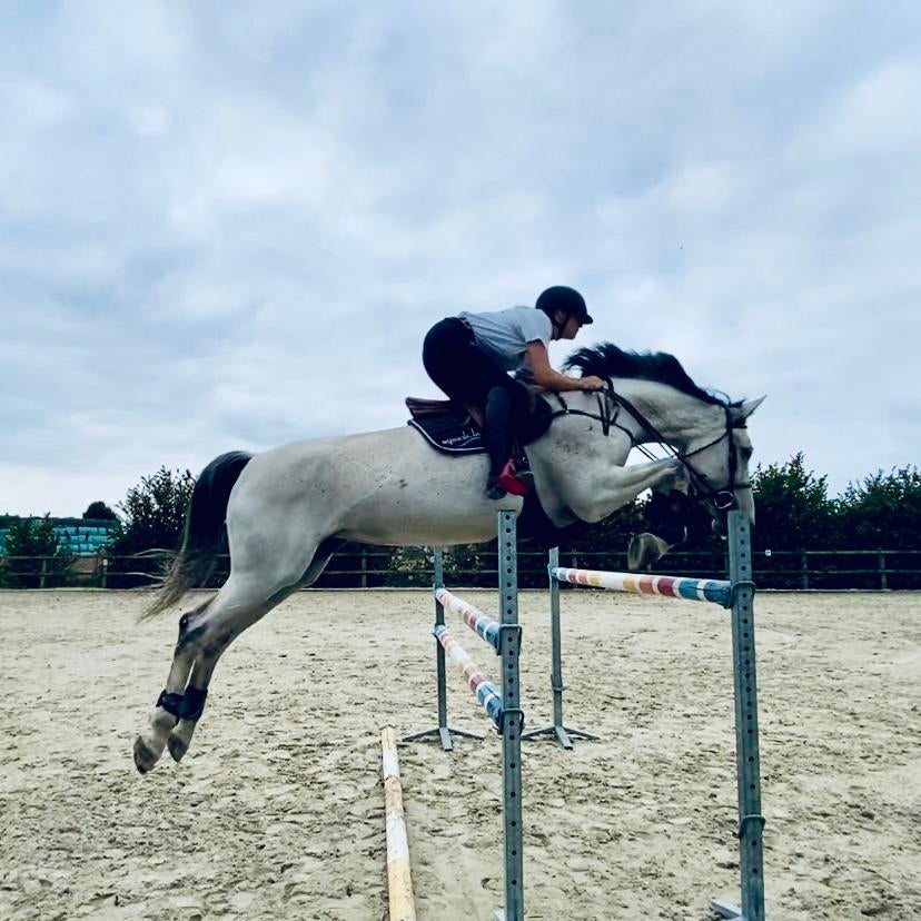 Ruiter en trainer aangeboden!