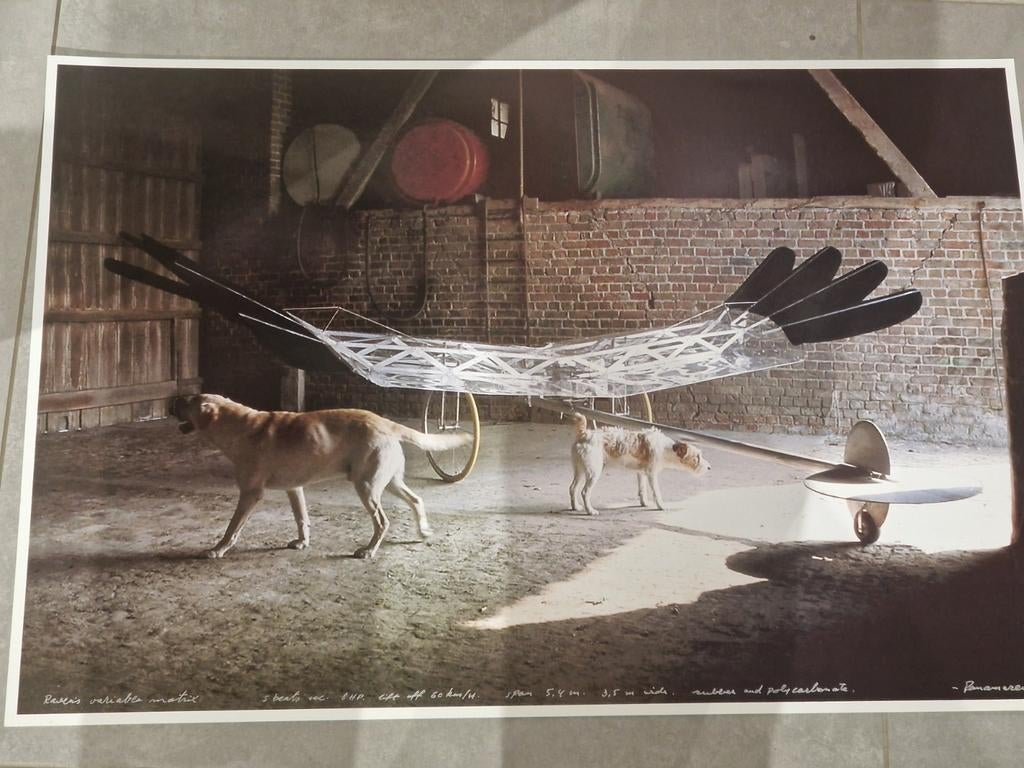 Panamarenko Raven , Raven's variabele matrix, Antiek en Kunst, Ophalen of Verzenden