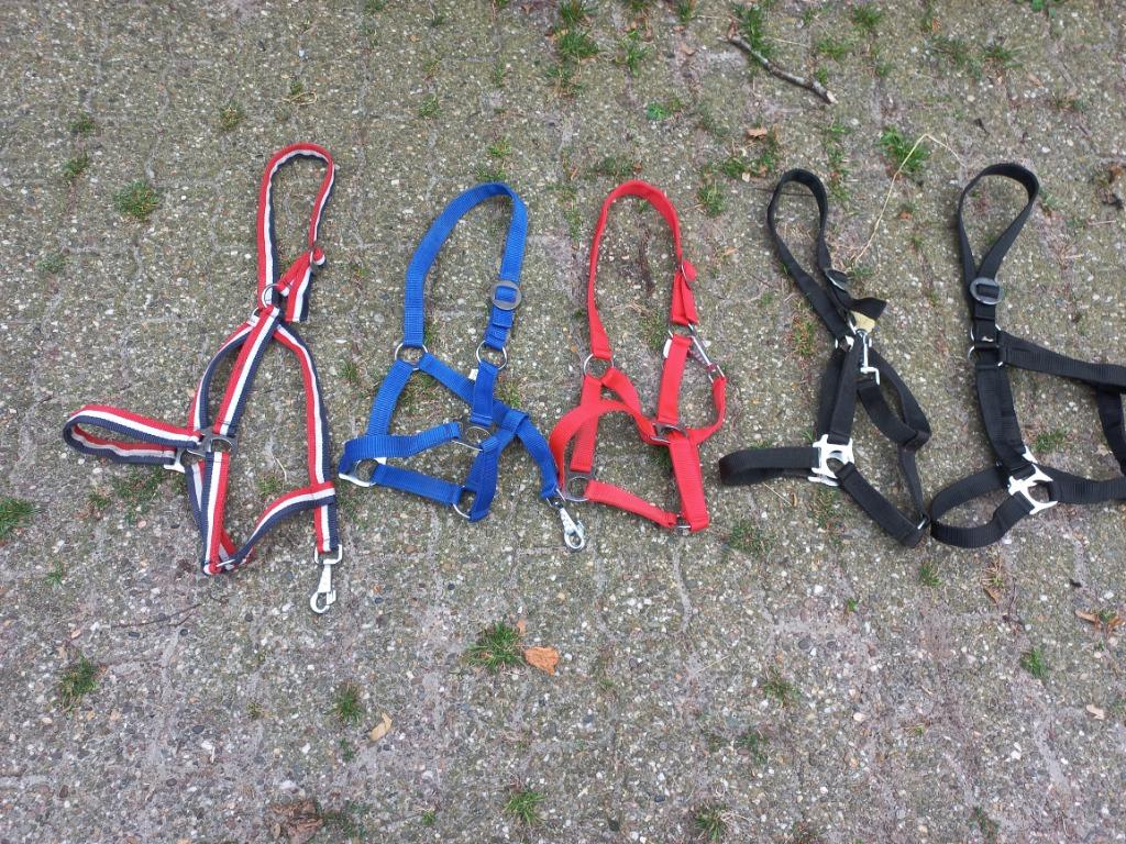 Nieuwe paarden en pony halsters diversen maten, Ophalen, Nieuw
