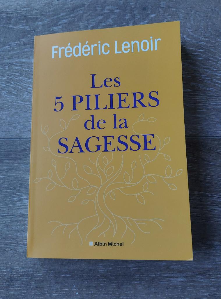 Livre "Les 5 piliers de la sagesse" de Frédéric Lenoir, Livres, Enlèvement ou Envoi, Frédéric Lenoir, Général, Comme neuf