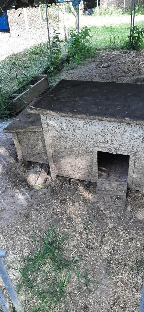cabanes , bâche, mangeoire pour poules, Enlèvement, Utilisé
