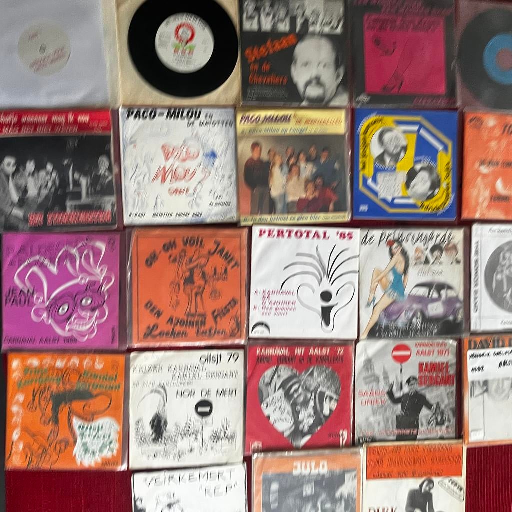 Muziek Aalst Carnaval op LP single en CD, Boeken, Ophalen of Verzenden, Zo goed als nieuw