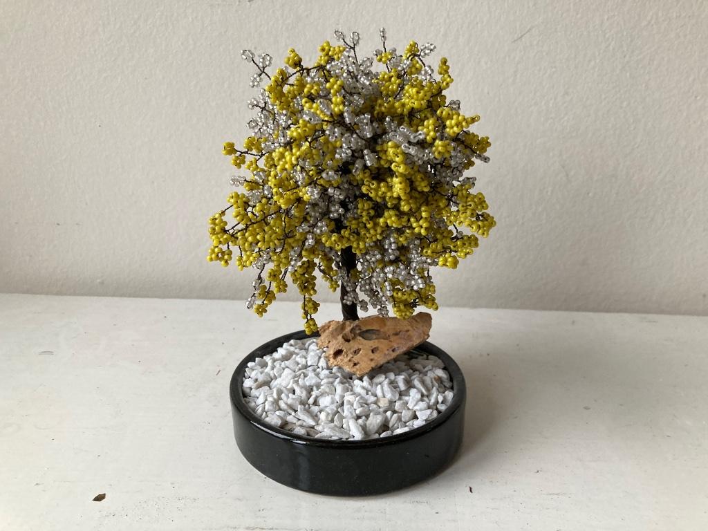Decoratief boompje, Ophalen