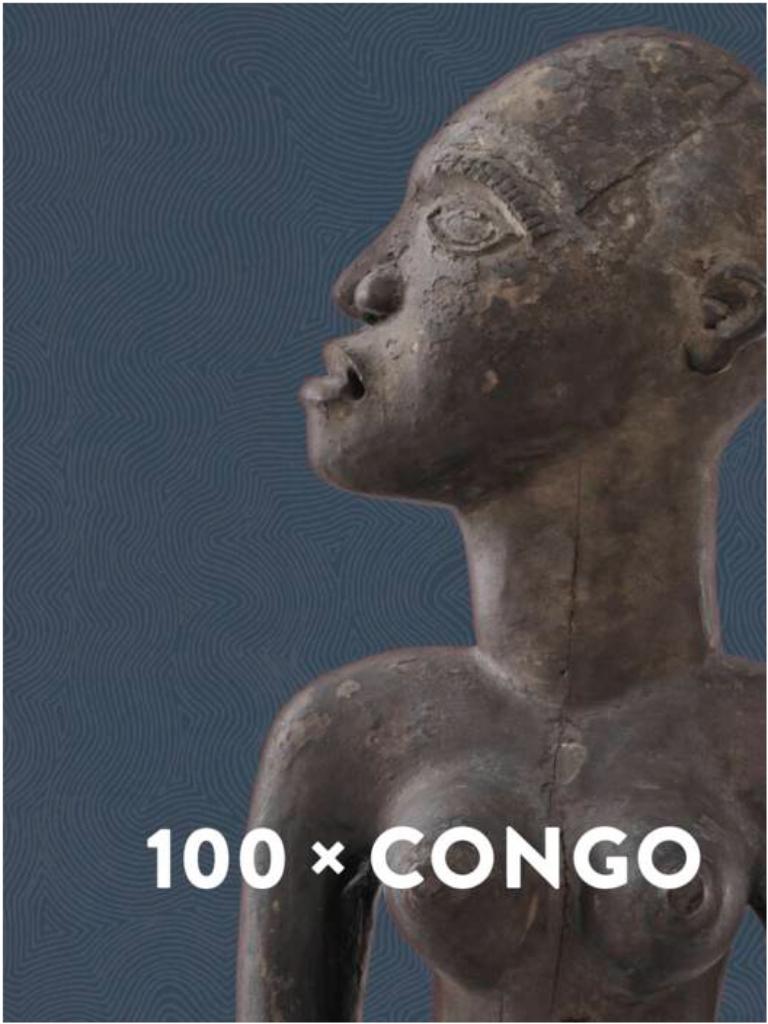 100 X Congo een eeuw Congolese kunst in Antwerpen, Enlèvement ou Envoi, Neuf, Photographie général, Diverse auteurs