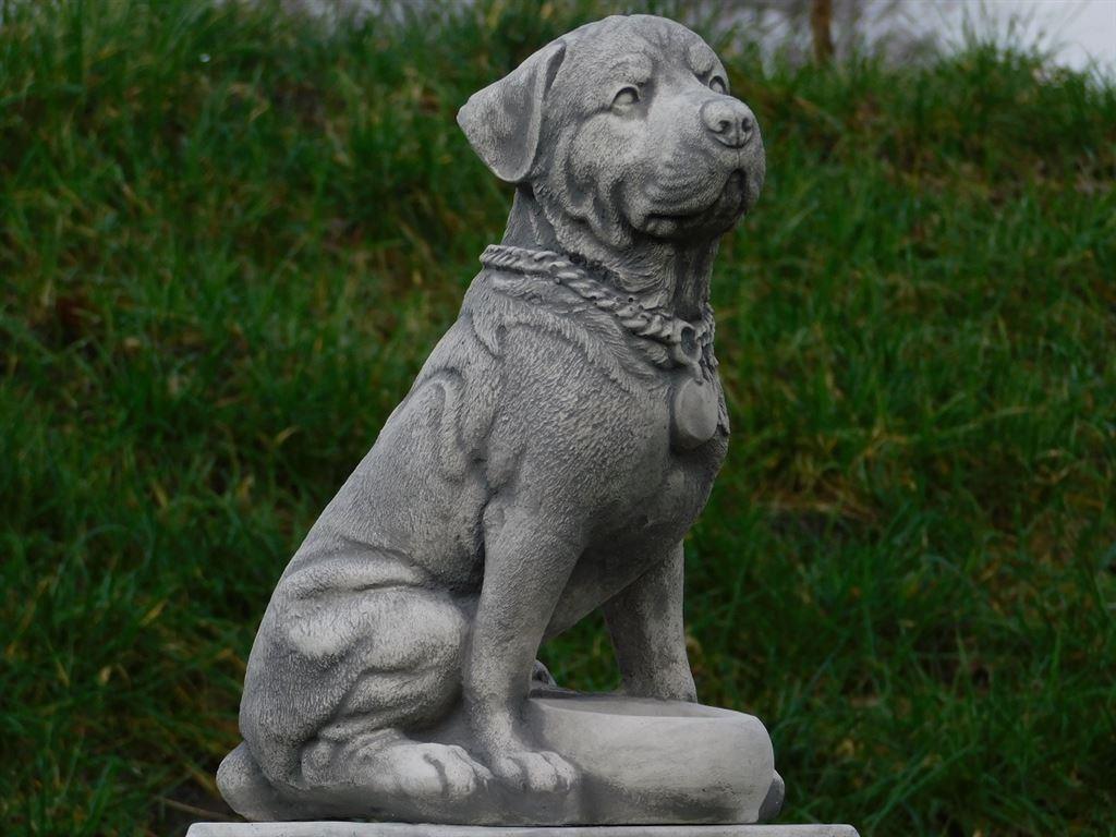 hond rottweiler, Enlèvement ou Envoi, Neuf