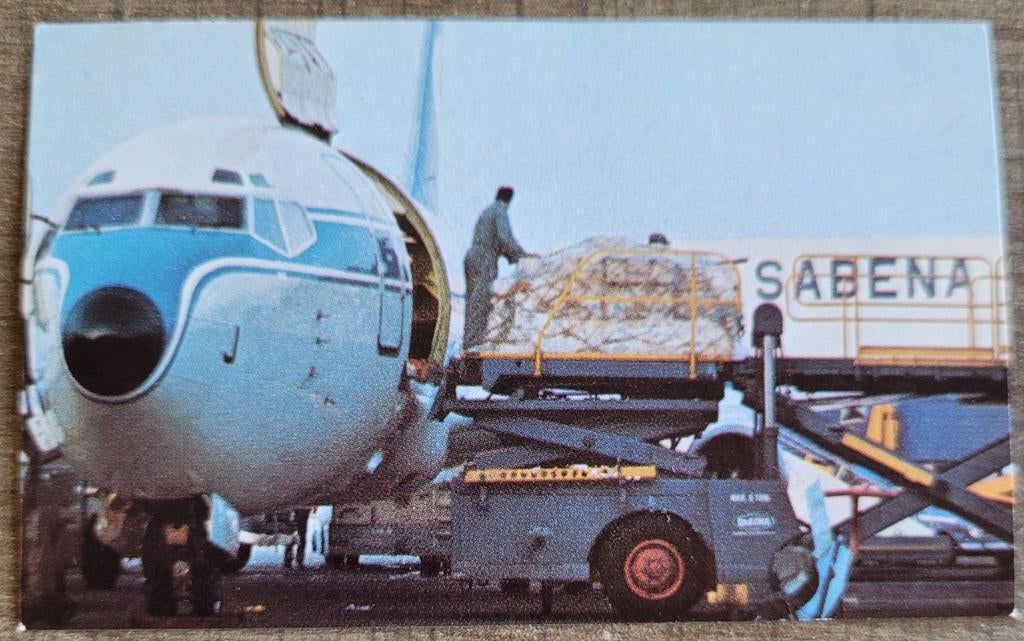 Oud fotoprentje: Sabena goederentransport, Collections, Photos & Gravures, Enlèvement ou Envoi, Utilisé, Autres sujets/thèmes