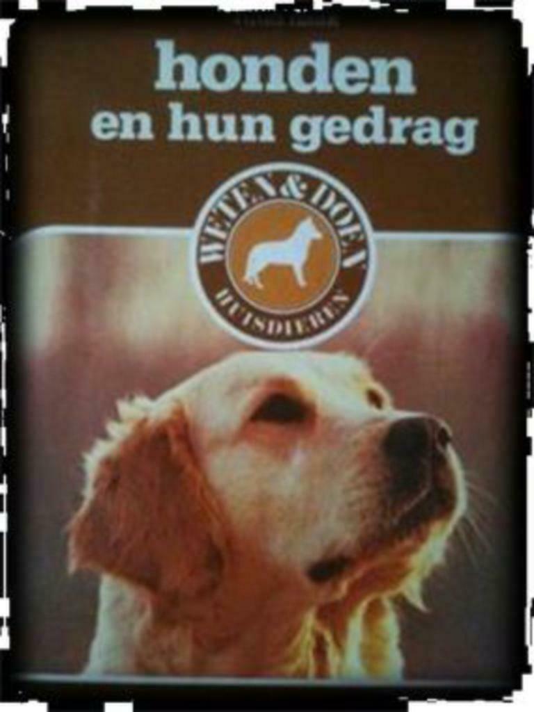 Honden en hun gedrag, Ruud Haak, Ophalen of Verzenden, Gelezen, Honden