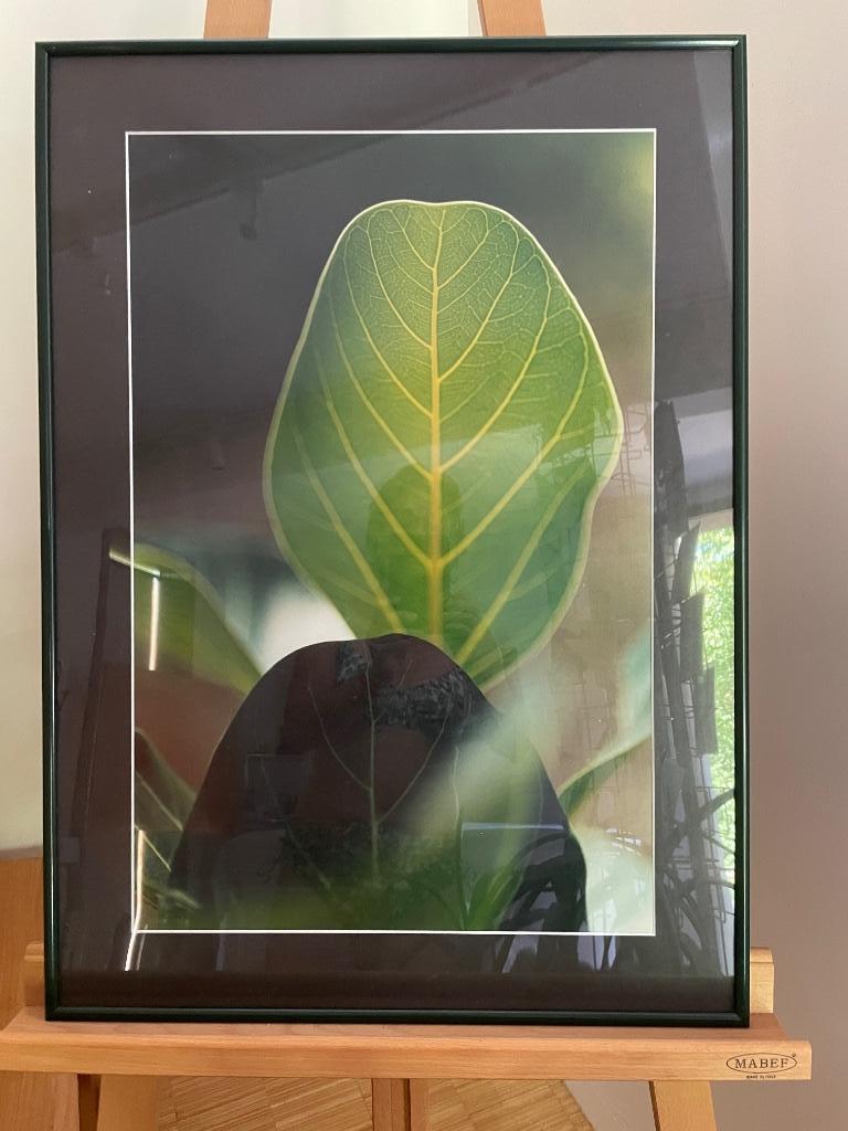 Kaders groen, rood, metaal, zwart, Kunststof, Gebruikt, 50 tot 75 cm, Ophalen of Verzenden