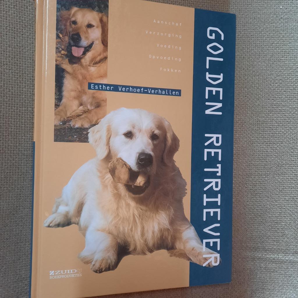 GOLDEN RETRIEVER - ESTHER VERHOEF-VERHALLEN , Ophalen of Verzenden, Honden