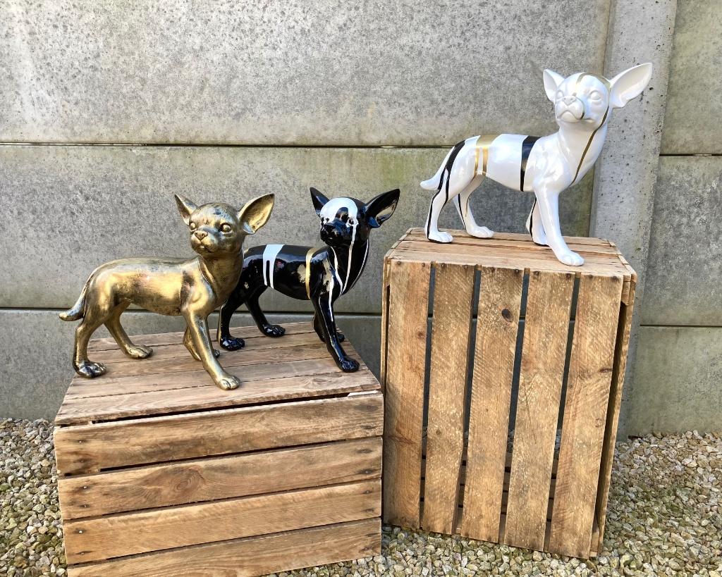 Chihuahua beeld H 32cm / Weg = weg, Tuin en Terras, Tuinbeelden, Ophalen, Nieuw, Overige materialen, Dierenbeeld