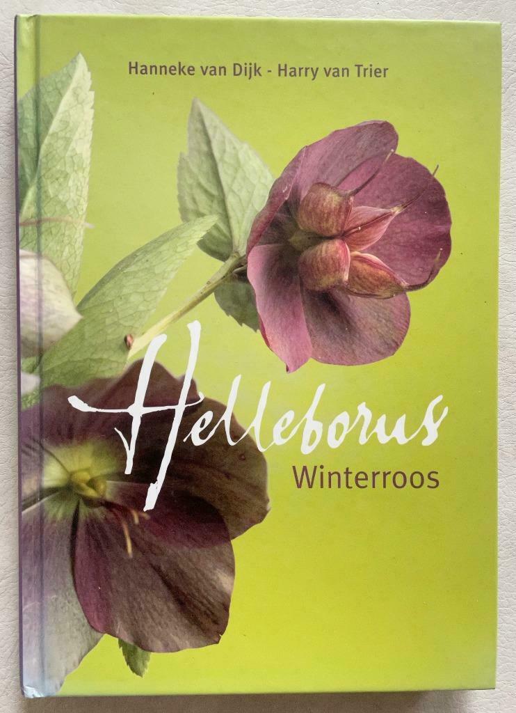 Helleborus, Ophalen of Verzenden