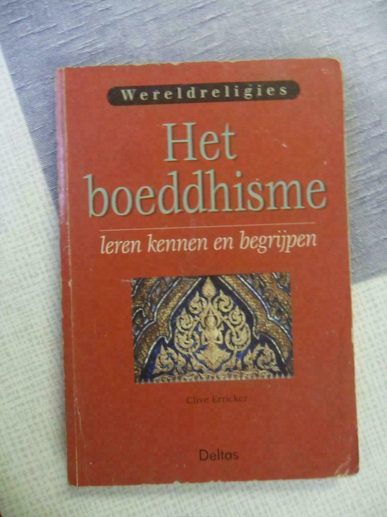 het boeddhisme, Boeken, Godsdienst en Theologie, Ophalen of Verzenden, Van In, Boeddhisme