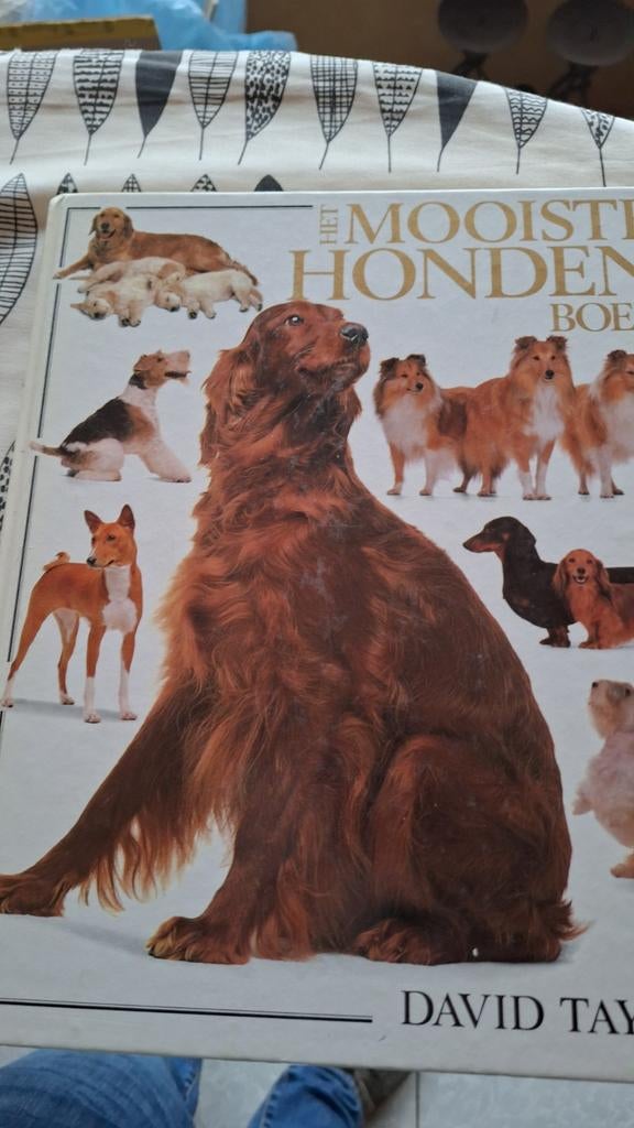 Het mooiste honden boek, Livres, Animaux & Animaux domestiques, Enlèvement ou Envoi, Chiens