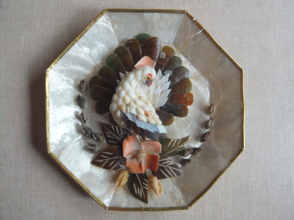 decoratie schelpjes, Verzamelen, Mineralen en Fossielen, Schelp(en), Ophalen of Verzenden