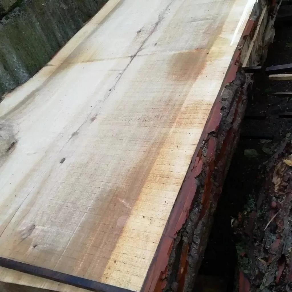 Boomstam tafels tafelbladen planken houtentafells, Ophalen of Verzenden, Nieuw