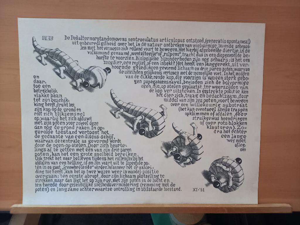 M.C. Escher - litho - Wentelteefje (after), Ophalen of Verzenden