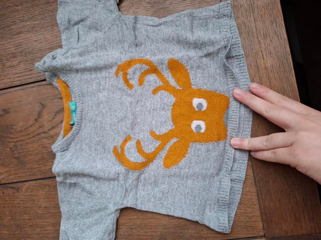 Joli pull, Enlèvement ou Envoi, Utilisé