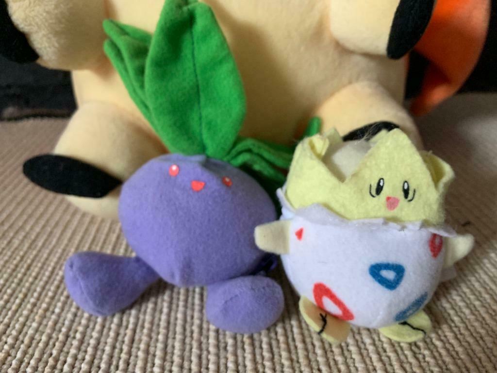 pokemon troetel, Enlèvement, Comme neuf