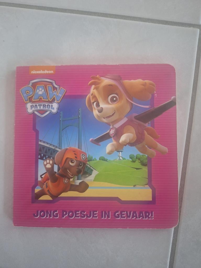 Paw Patrol leesboekje - Jong poesje in gevaar - Nickelodeon, Ophalen of Verzenden, Gelezen