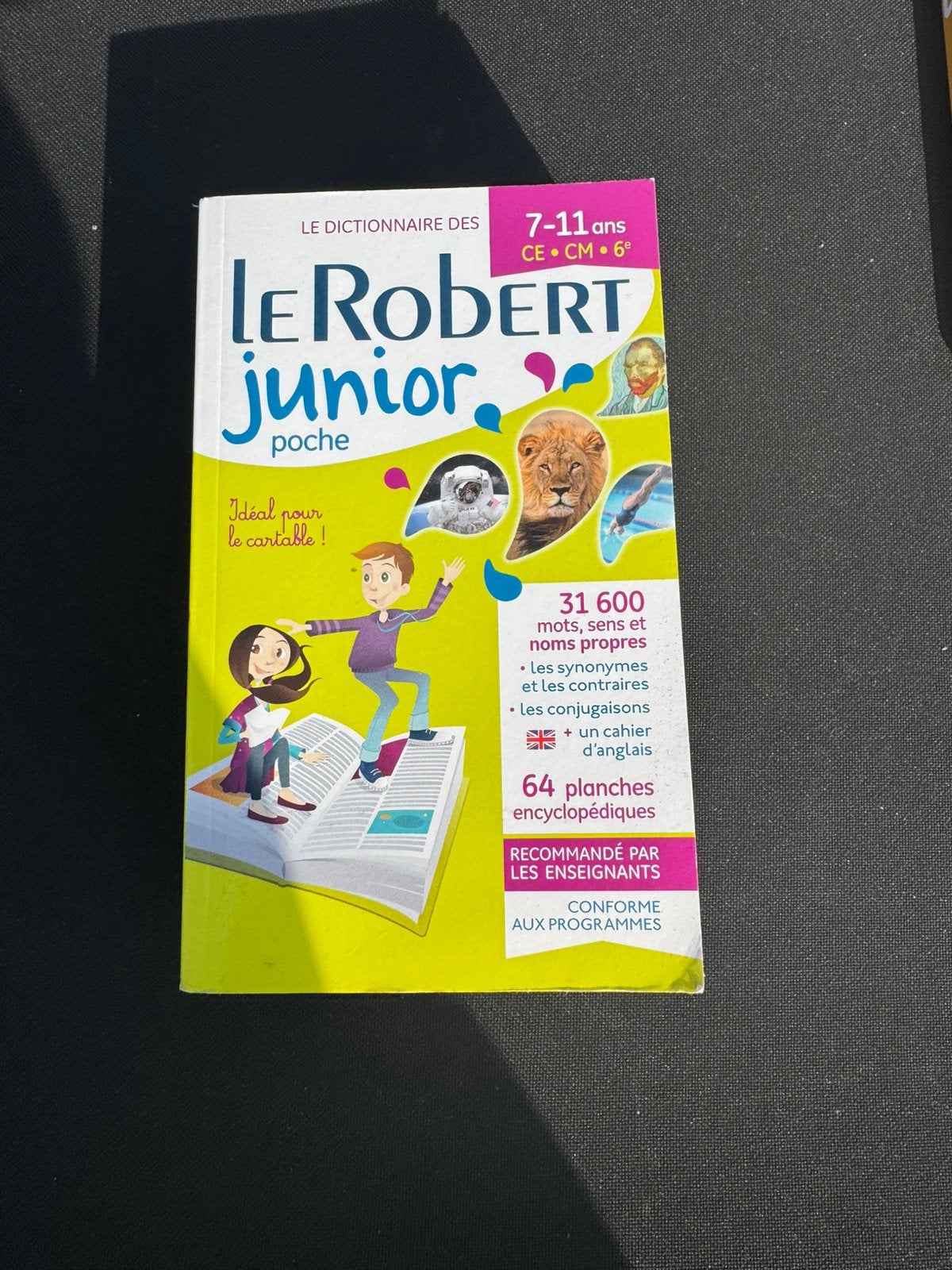 Livre dictionnaire le robert junior, Livres, Enlèvement, Comme neuf