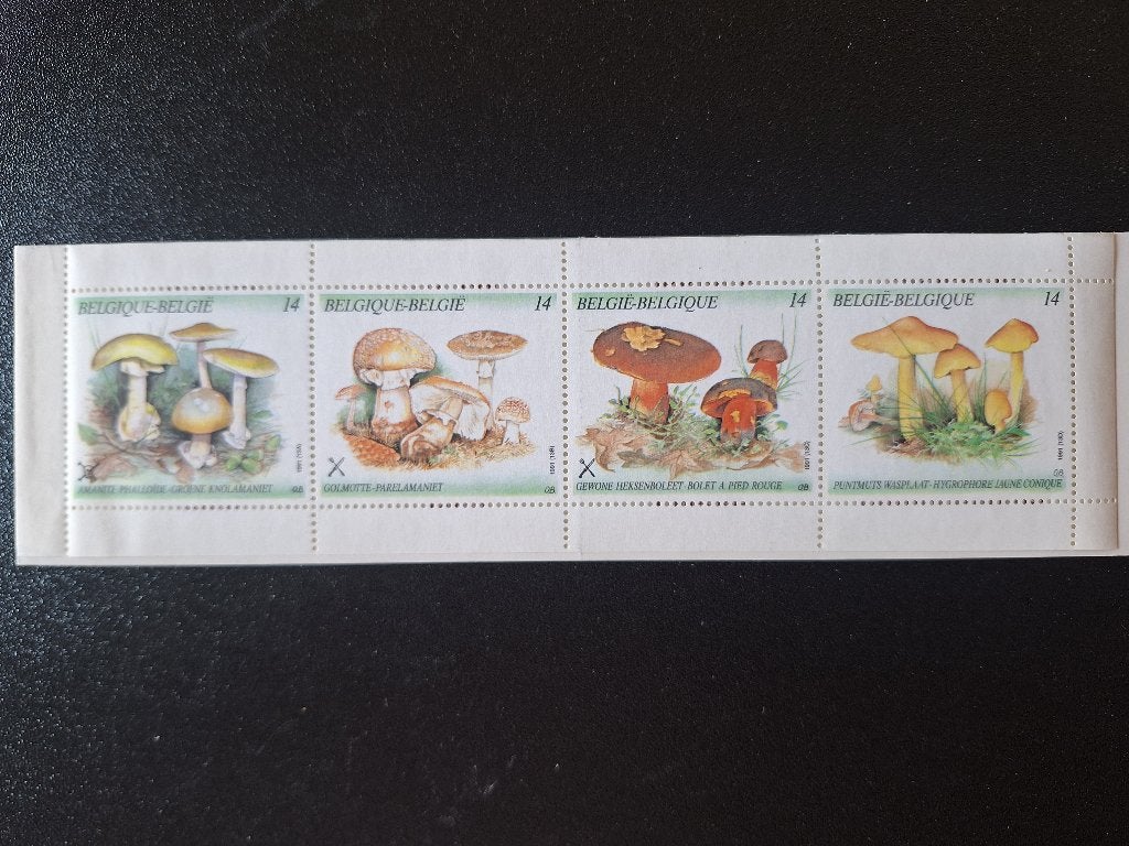 Boekje B21 - jaar 1991 - 2418-2421 - Paddestoelen, Ophalen, Postfris, Postfris