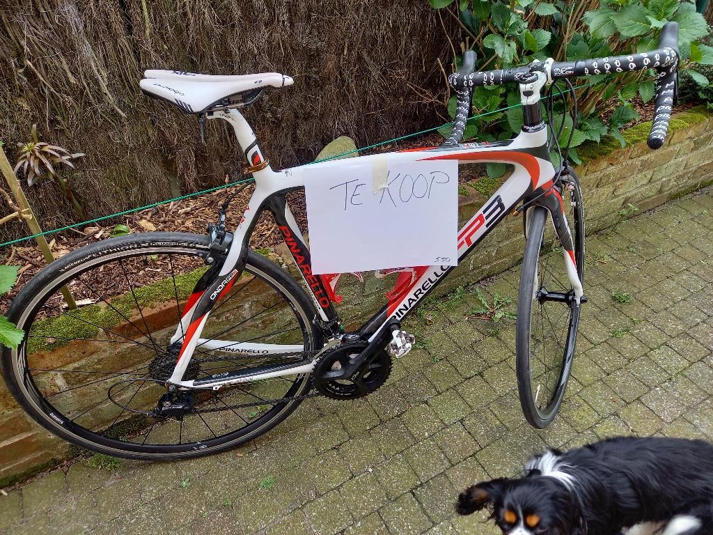Fietsen, Fietsen en Brommers, Ophalen, Gebruikt, 15 tot 20 versnellingen, Overige merken