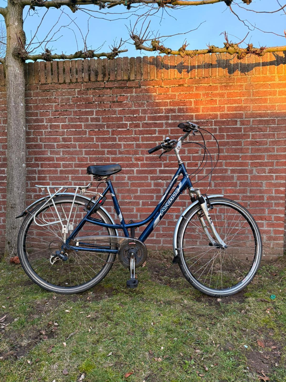 Avenue vrouwenfiets, Fietsen en Brommers, Ophalen, Gebruikt, Versnellingen