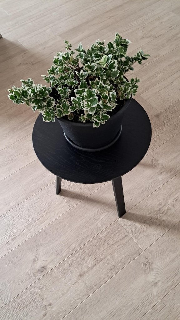 bijzettafeltje, Rond, Zo goed als nieuw, Hout, Ophalen
